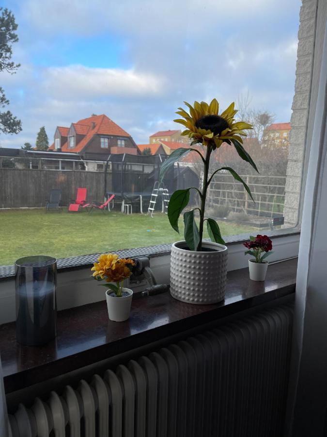 Ferienwohnung Brabo2 Landskrone Exterior foto